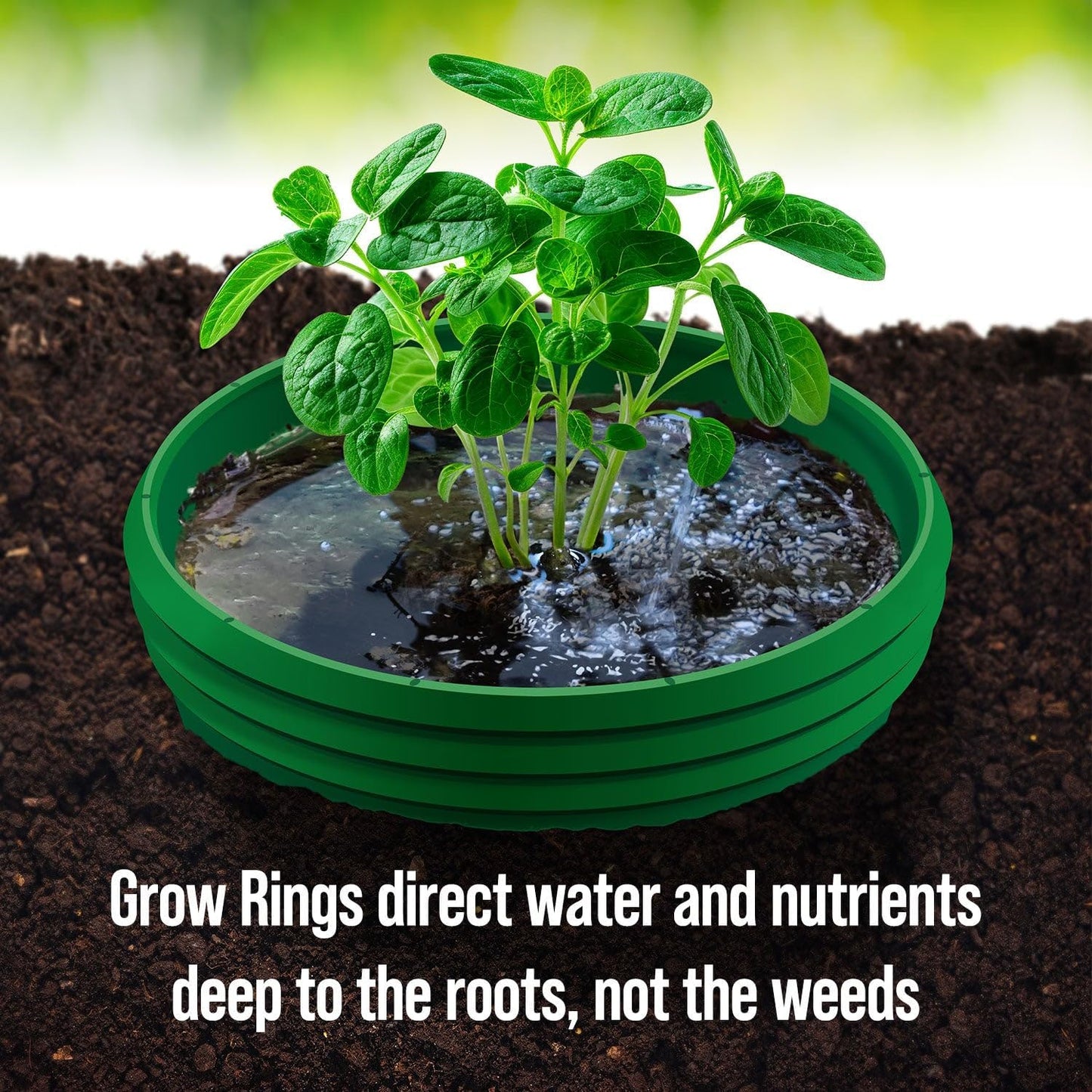 4 Herb Garden Kit