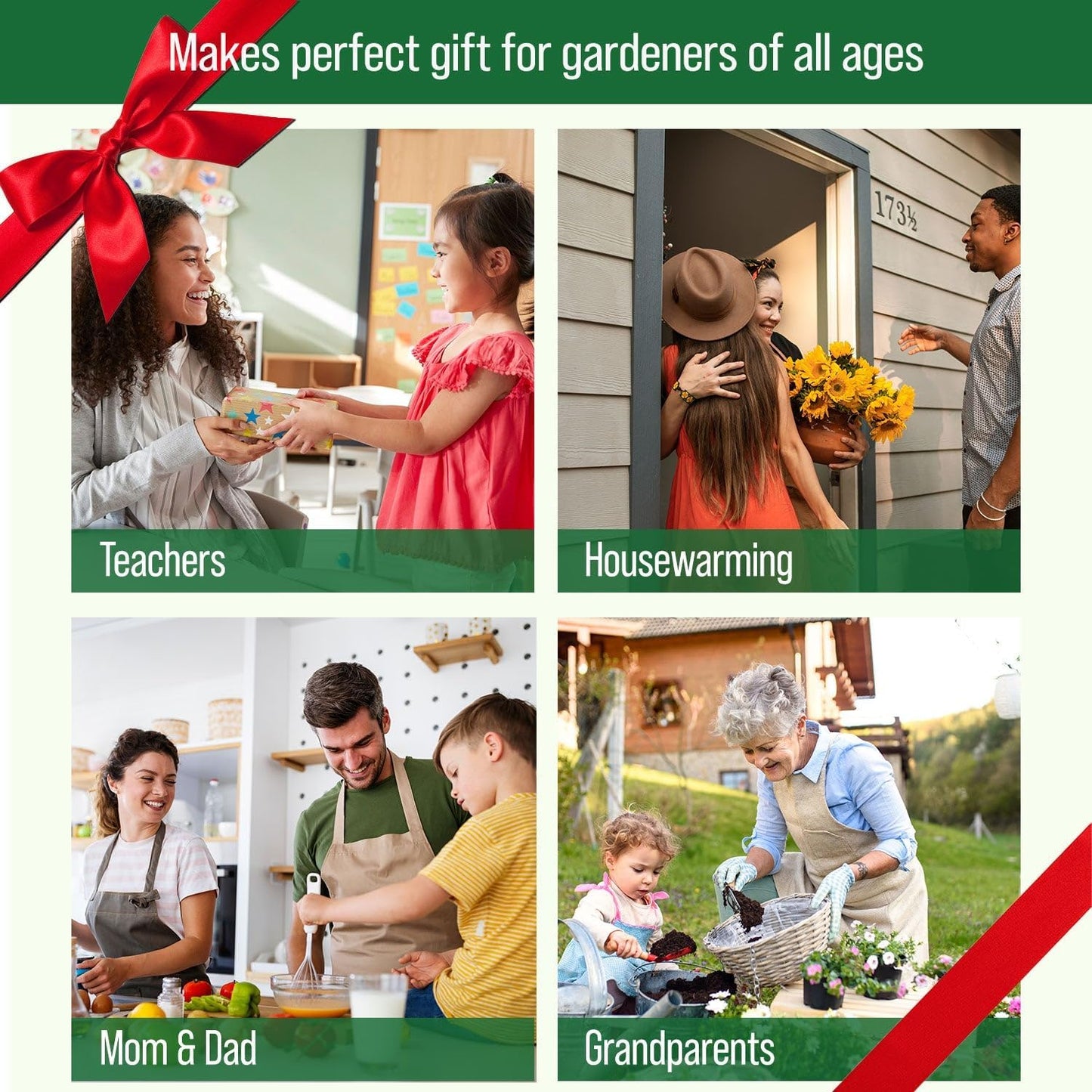 4 Herb Garden Kit