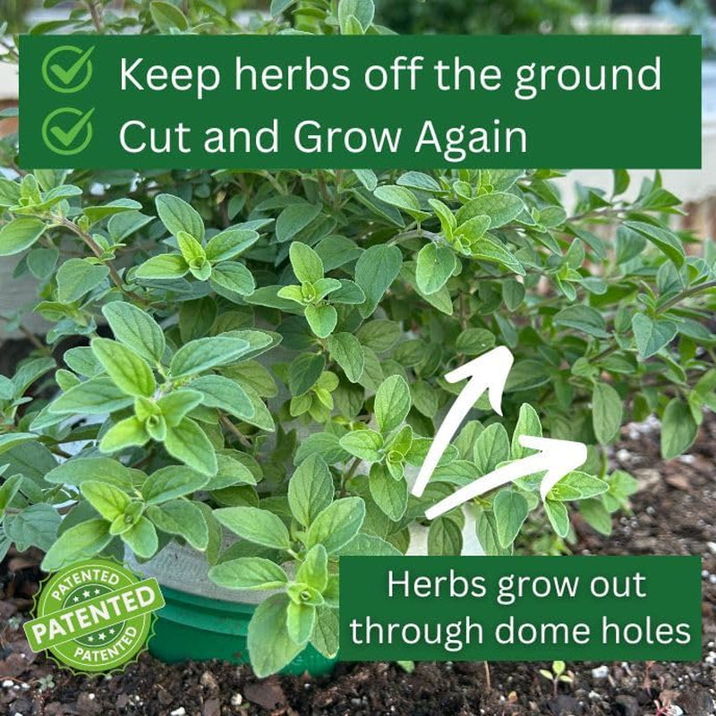 4 Herb Garden Kit