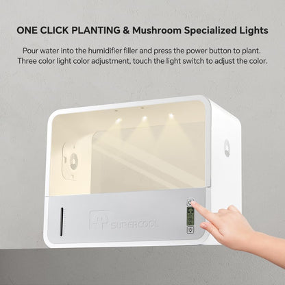 Indoor Mushroom Growing Kit