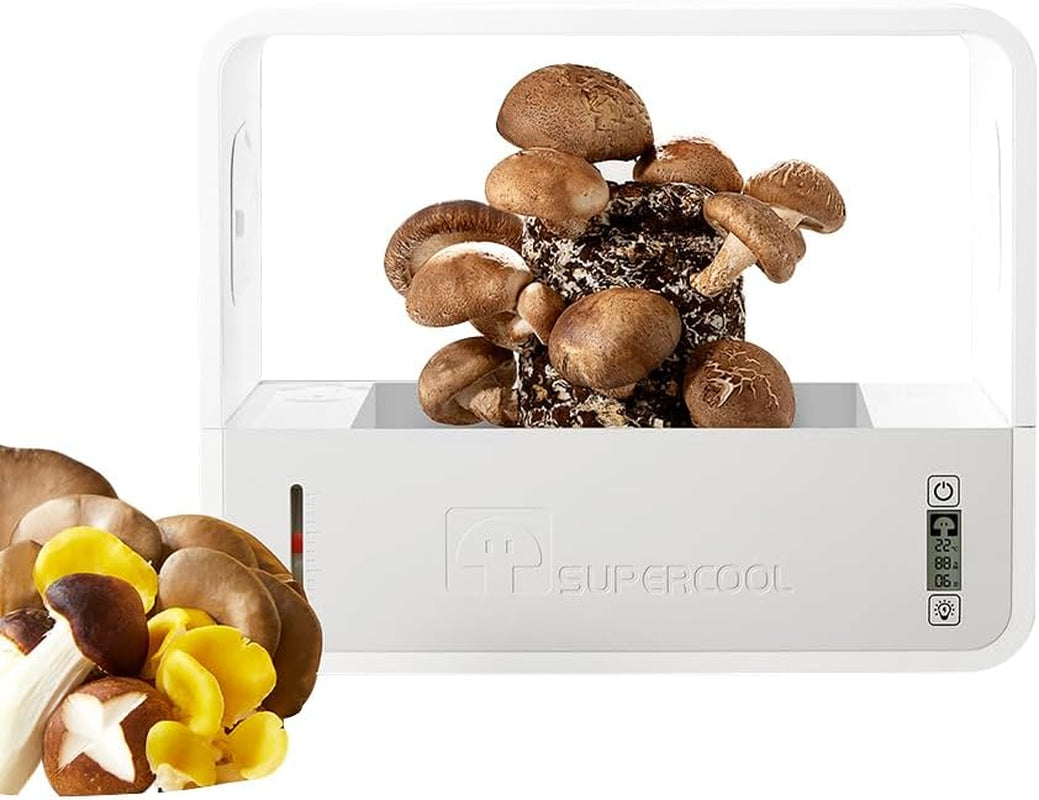 Indoor Mushroom Growing Kit