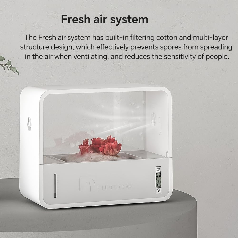 Indoor Mushroom Growing Kit