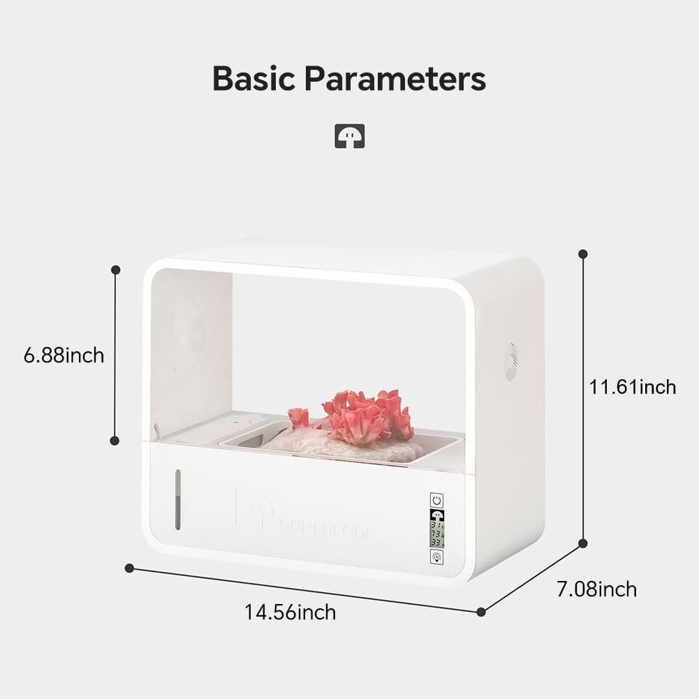 Indoor Mushroom Growing Kit
